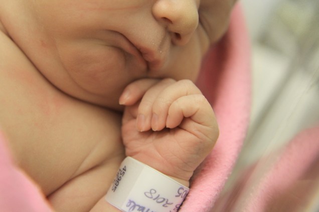 2018-02-23 - One Day Old Ariel [007]